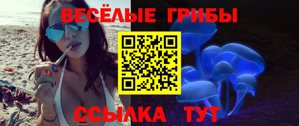 Псилоцибиновые грибы MAGIC MUSHROOMS  Вход с VPN  Десногорск 